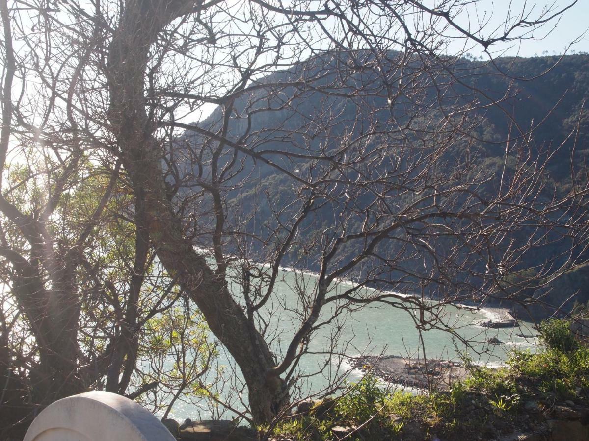 Da Benedetta Hotel Monterosso al Mare Bagian luar foto