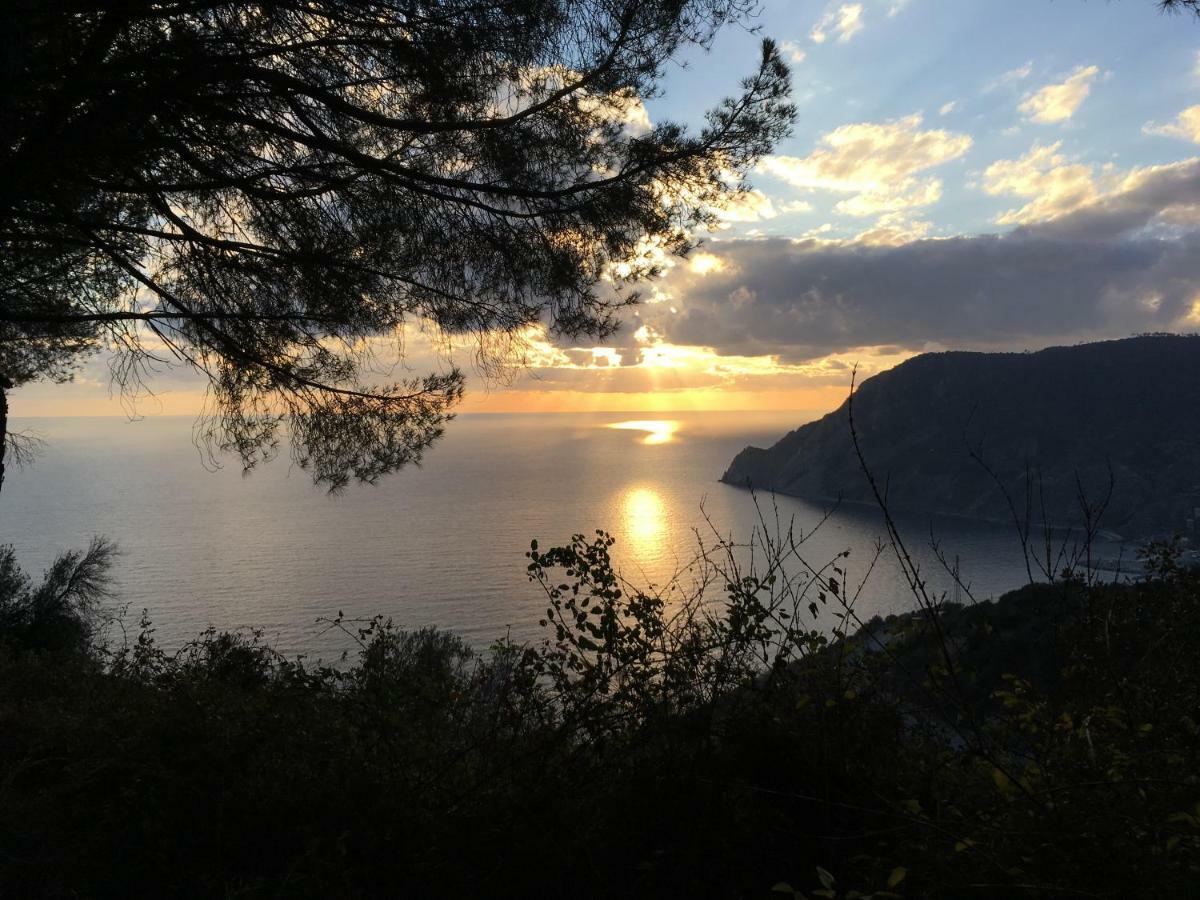 Da Benedetta Hotel Monterosso al Mare Bagian luar foto