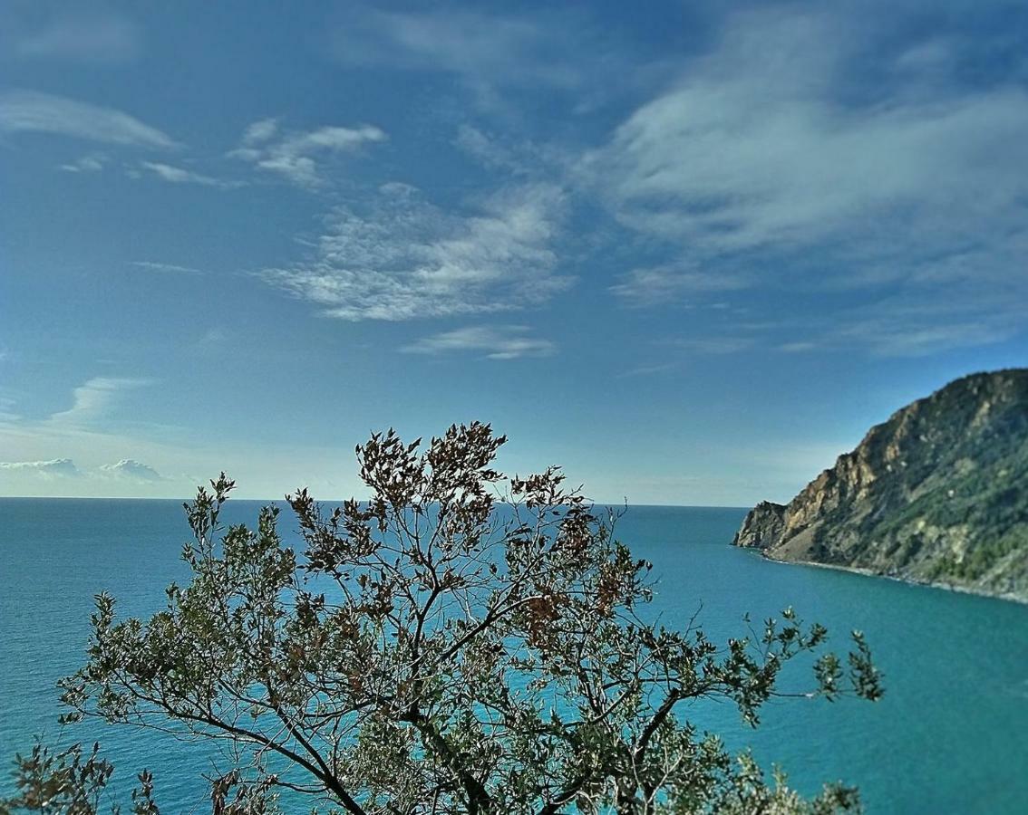 Da Benedetta Hotel Monterosso al Mare Bagian luar foto