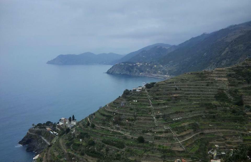 Da Benedetta Hotel Monterosso al Mare Bagian luar foto